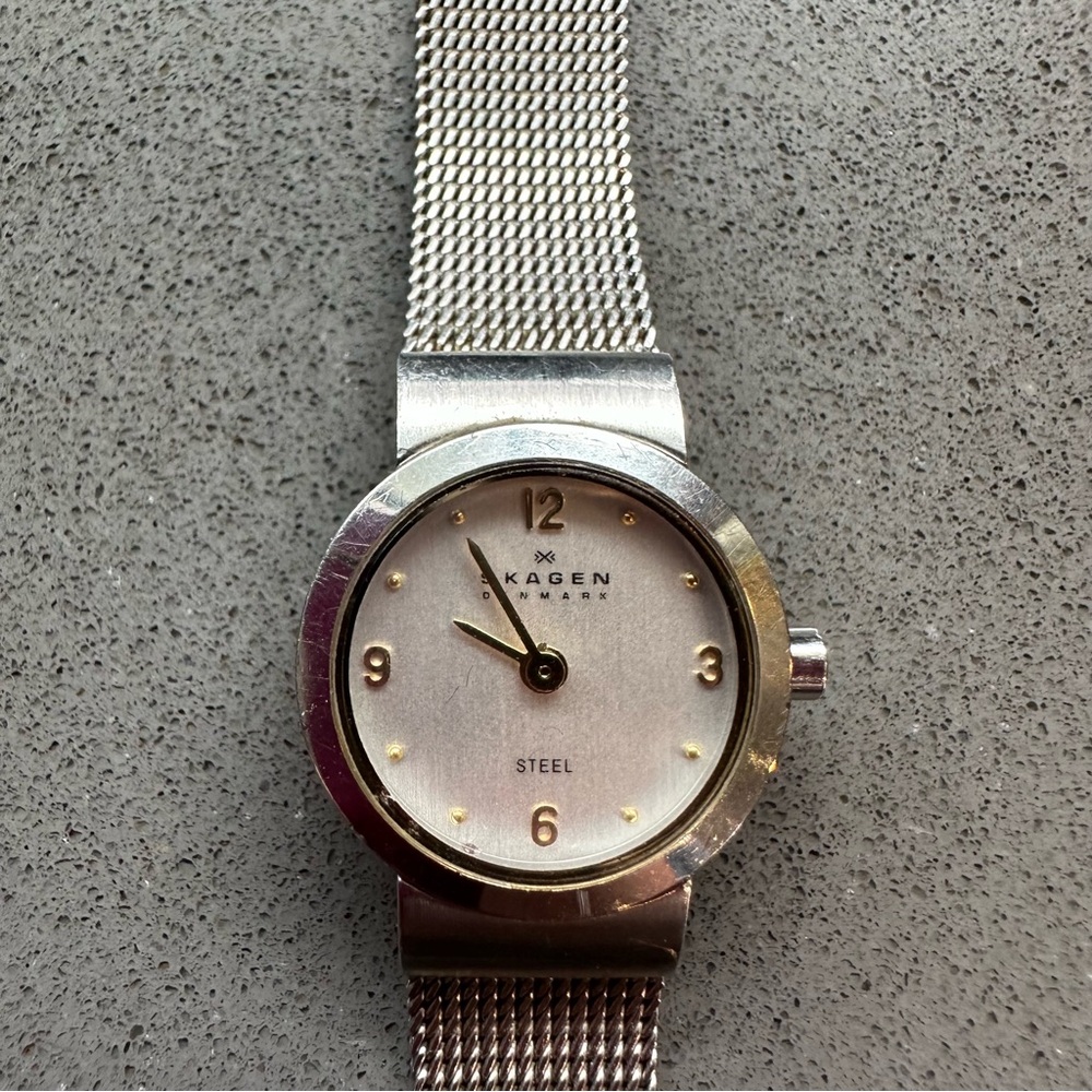 Skagen Silver Mesh Strap Watch